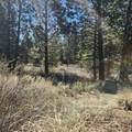  Moccasin Lane - Photo 17
