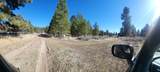  Moccasin Lane - Photo 21