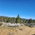  Moccasin Lane - Photo 3