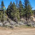  Moccasin Lane - Photo 4