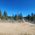  Moccasin Lane - Photo 5