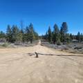  Moccasin Lane - Photo 6