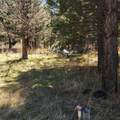  Moccasin Lane - Photo 9