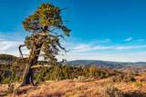 20357 Wapato Road - Photo 27