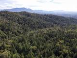  Quartz Creek Road - Photo 1