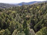  Quartz Creek Road - Photo 12