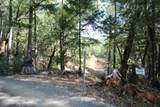  Quartz Creek Road - Photo 13