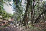  Quartz Creek Road - Photo 14