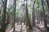  Quartz Creek Road - Photo 15