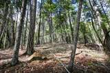  Quartz Creek Road - Photo 17