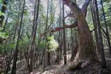  Quartz Creek Road - Photo 18