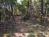  Quartz Creek Road - Photo 2
