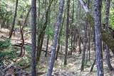  Quartz Creek Road - Photo 20