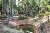  Quartz Creek Road - Photo 22