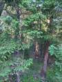  Quartz Creek Road - Photo 23