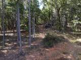  Quartz Creek Road - Photo 3