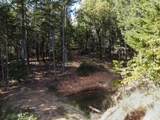  Quartz Creek Road - Photo 4