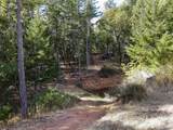  Quartz Creek Road - Photo 5