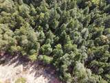  Quartz Creek Road - Photo 9