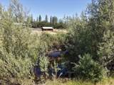 335 Sheraton Drive - Photo 83