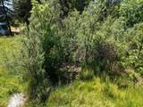 335 Sheraton Drive - Photo 84
