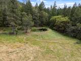 4046 Little Applegate Road - Photo 54