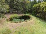 4046 Little Applegate Road - Photo 55