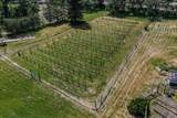 4741 L Fork Foots Creek Road - Photo 43
