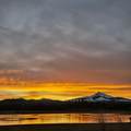 13759 Partridge Foot - Photo 73