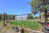 12186 Juniper Canyon Road - Photo 17