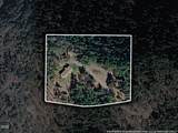 479 Wagon Trail Drive - Photo 42