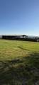 12140 Clovis Drive - Photo 9
