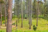 55823 Snow Goose Road - Photo 3