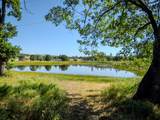 11775 Michael Road - Photo 5