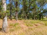 11775 Michael Road - Photo 7