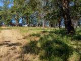 11775 Michael Road - Photo 9