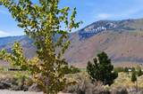 84594 Carlon Road - Photo 32