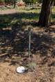 69375 Lake Drive - Photo 40