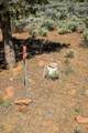 69375 Lake Drive - Photo 41