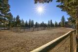 16443 Dea Drive - Photo 9
