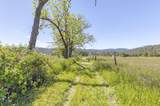 5005 Caves Highway - Photo 5