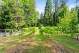5876 Donaldson Road - Photo 9