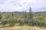 9595 Sterling Creek Road - Photo 59