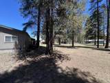 52960 Forest Way - Photo 10