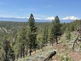 17127 Mountain View Road - Photo 10