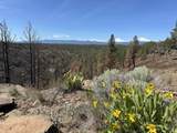 17127 Mountain View Road - Photo 15