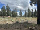 17127 Mountain View Road - Photo 7