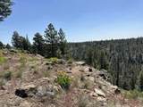 17127 Mountain View Road - Photo 9