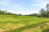 1299 Or-234 - Photo 45