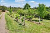 15336 Oregon 62 - Photo 39